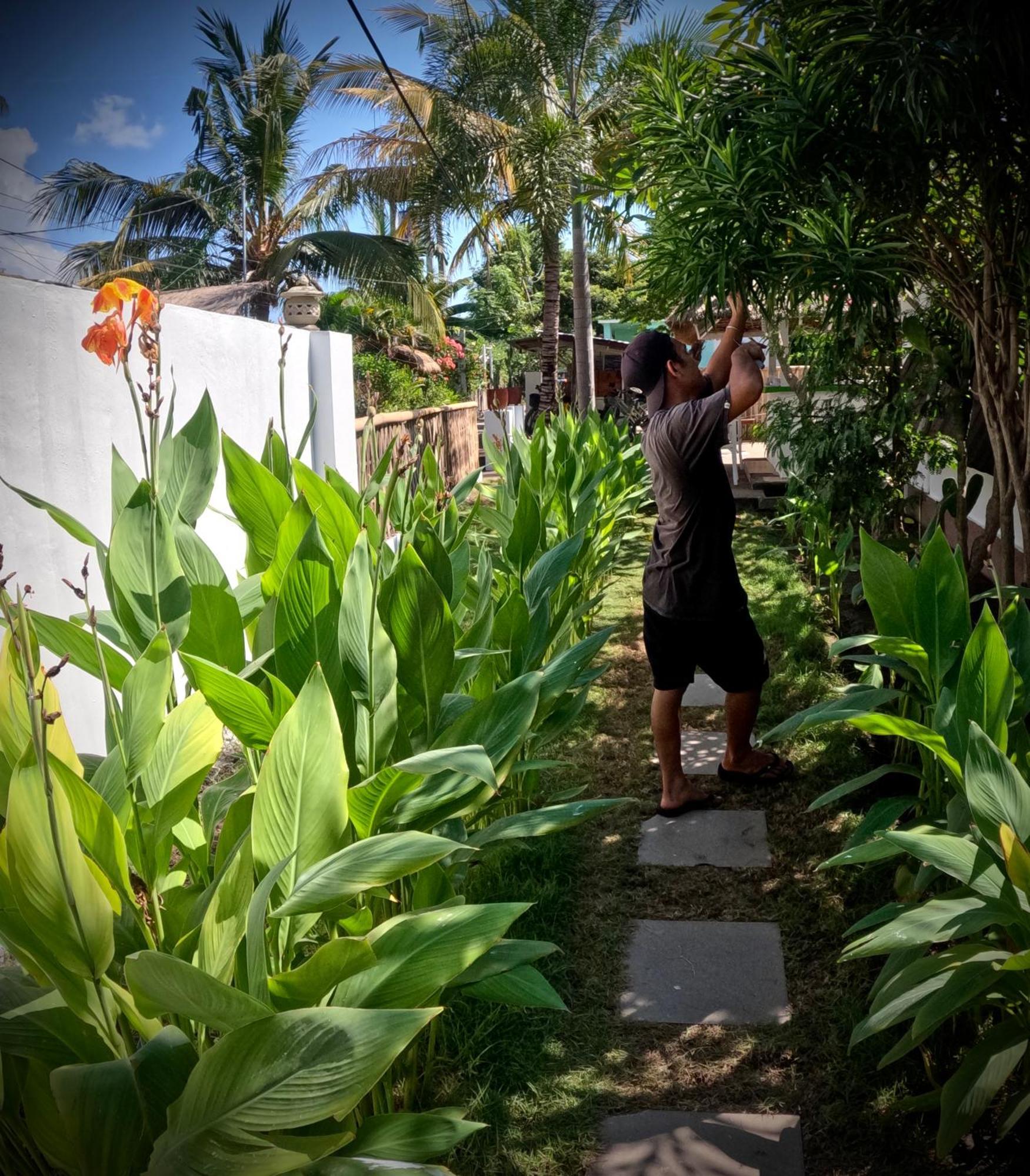 Kaktus Bungalow 1 Gili Air Luaran gambar